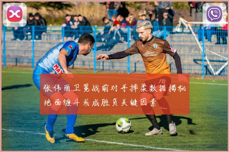 张伟丽卫冕战前对手摔柔数据揭秘地面缠斗或成胜负关键因素